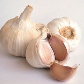 Aglio Rosso, Garlic Bulbs